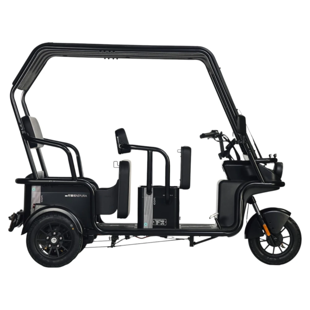 Электротрицикл Wanshida NIPLA 570 60V 1000Вт Серый 4