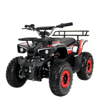 Электроквадроцикл IKINGI K6